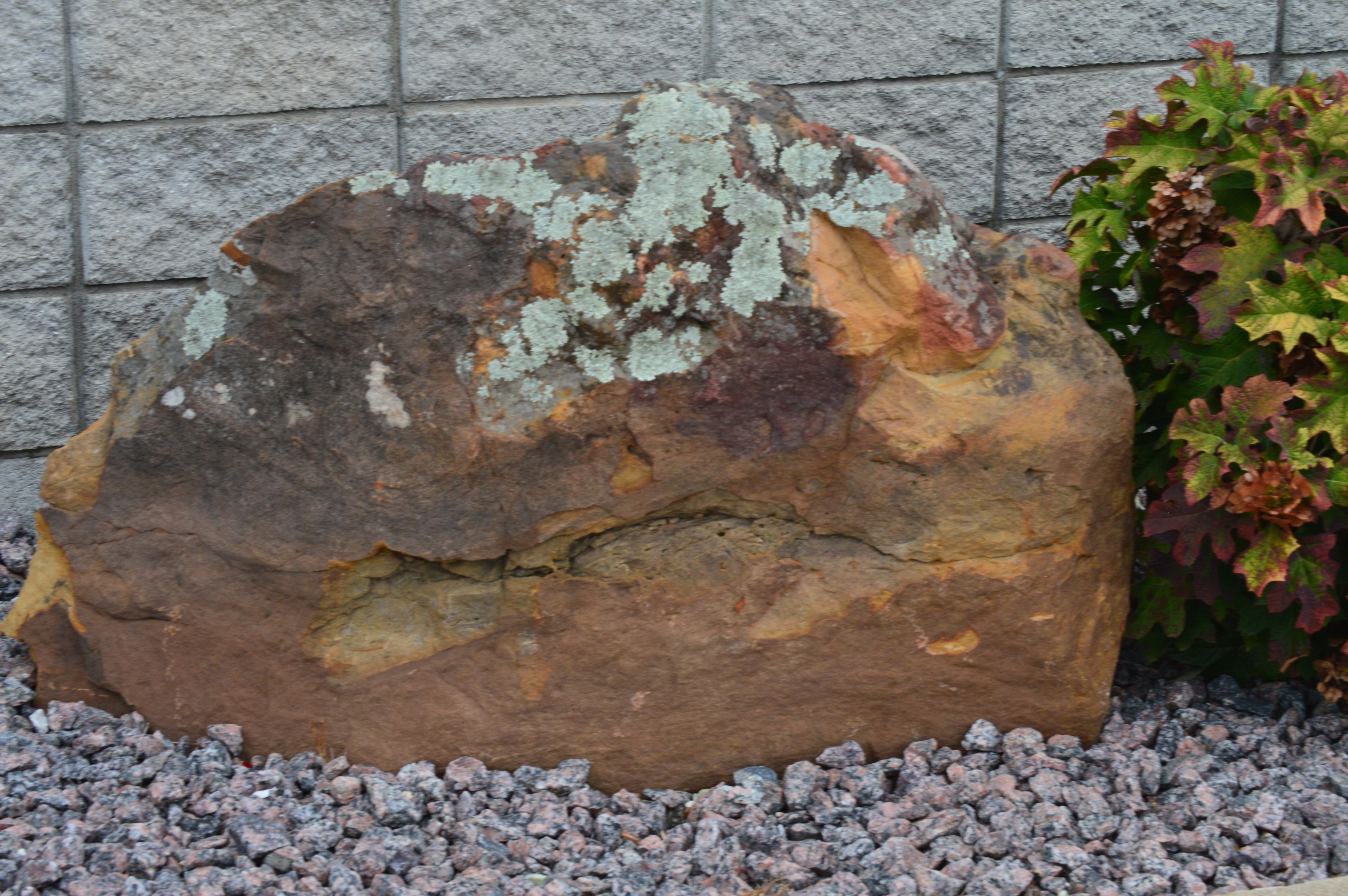 Decorative Boulders 5